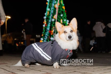 ������������� ���� ��������� � ������������� � ������������ ���, ������� ������� ���������� ���������� ������� ���������