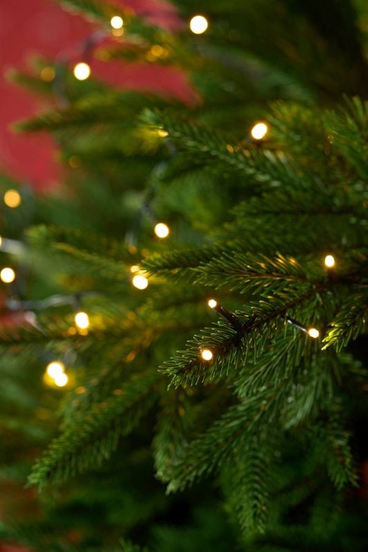 ������������ � ���������� ����������