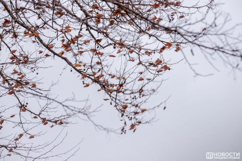 �������������: ������� ������� �� ���������� ��������� ������� ����� � �� 15 �/�