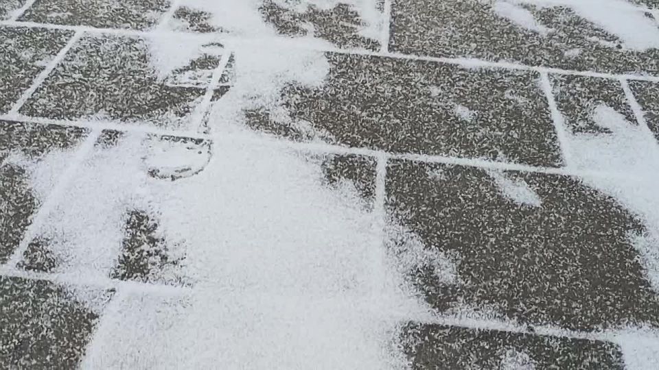 Долгожданный снежок! Радуемся и выходим на улицу наслаждаться погодой!