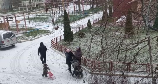 ����� ������������� �����������