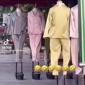 ��������� ������� �������� ����� ��� ��-�� ������ ����� �� 26-29 �������: ������� ������ �� 20 �/�