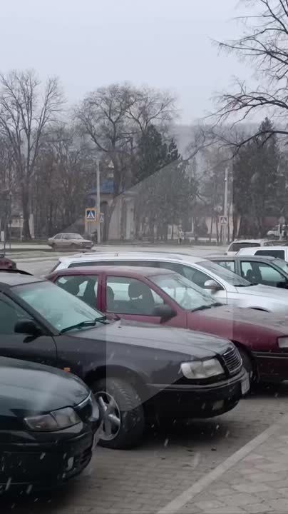 Снежное утро в Каменке