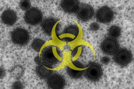 ������� ����������� ���� ������ �������� ��� � ���� ����� ������� � �������� ������������� ������ � �������� ������������ ������