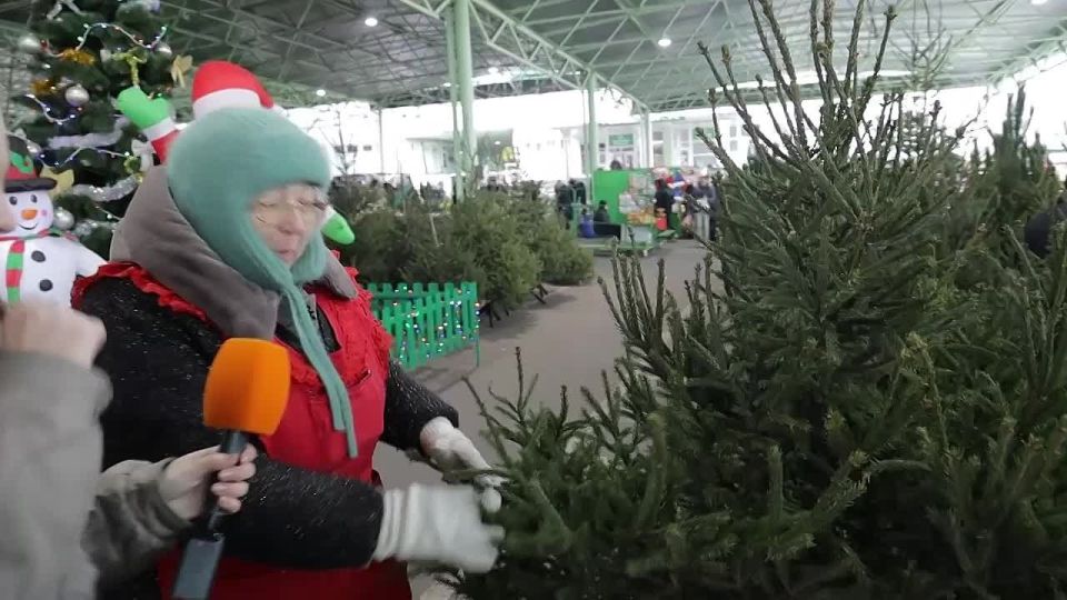 Продавцы на Зелёном рынке показывают ёлку-Волочкову и ёлку-Цискаридзе и объясняют, как выбрать правильную
