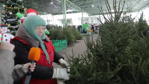 �������� �� ������ ����� ���������� ����-��������� � ����-���������� � ���������, ��� ������� ����������