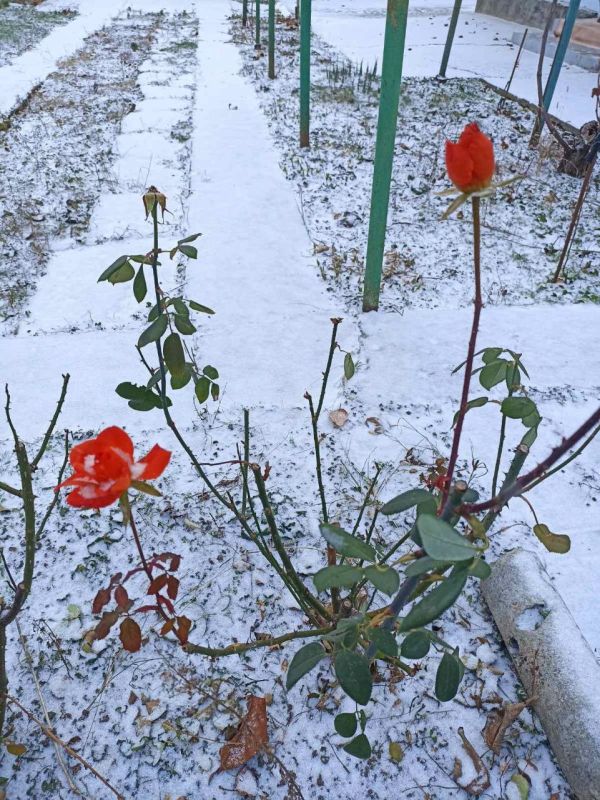 ���������. ����, ���� � ������