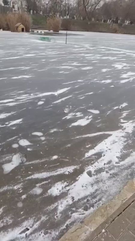 Озеро в Екатерининском парке покрылось льдом, он очень тонкий