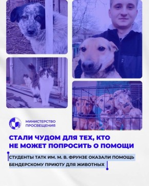 ����������� ����� �������������� �������-������������ �������� ����� ����������� ������ ��� ��������