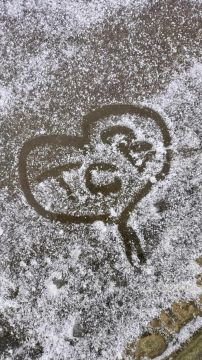 ���� � ���������