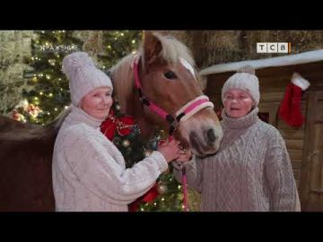 ��������� �������� ��������� ����� �� 12-������ ����� � ��������-�������� ��� ������� ���� ����� ����� � ���� �����