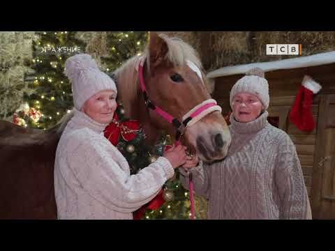 Китайская традиция разделять жизнь на 12-летние циклы с животным-символом для каждого года давно вошла в нашу жизнь