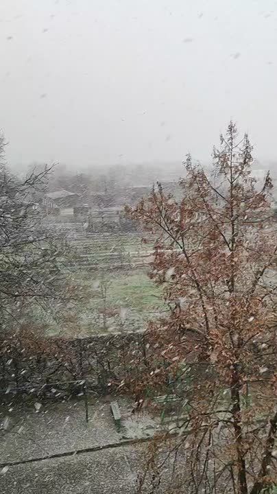 ���������� �������� ������