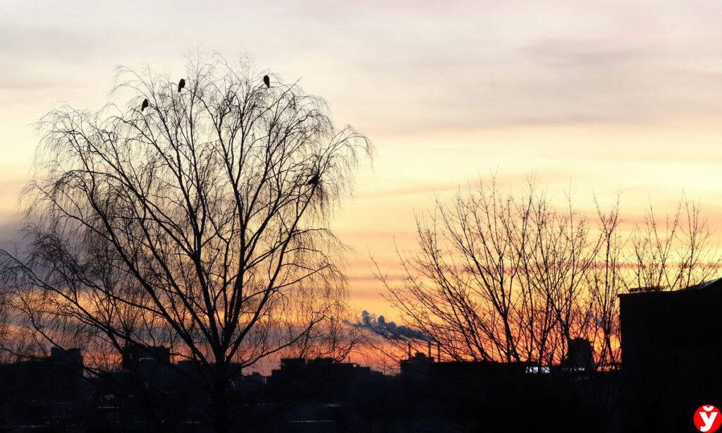 К новогодним праздникам светлое время суток станет длиннее на пять–шесть минут