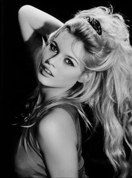 ���� �� ����� ����������� ����������� ������� ������ �����