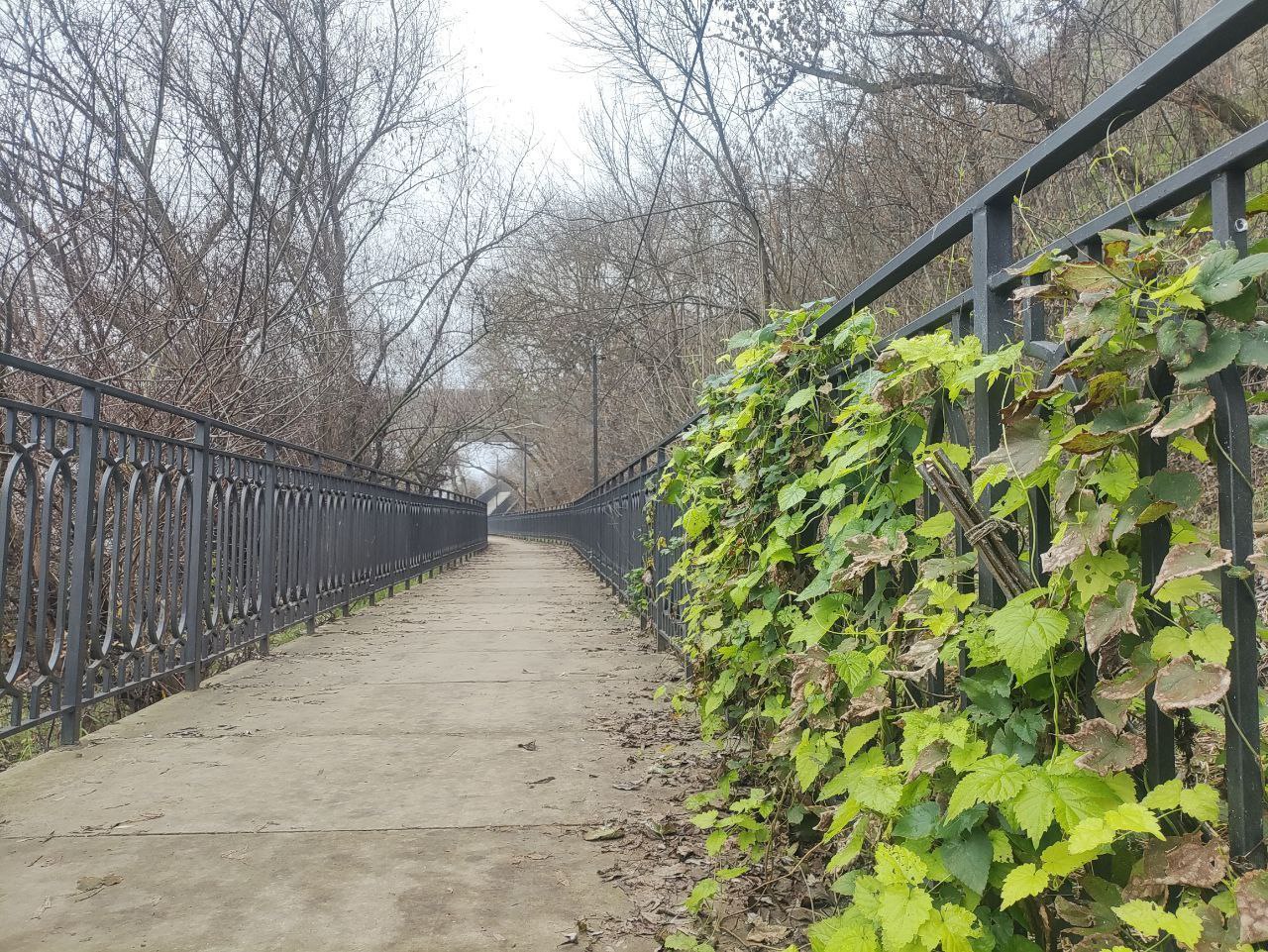 29 декабря ожидается облачная, днем с прояснениями погода