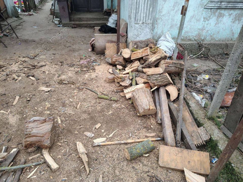 � �������� 6-������ ������� �������� ����� ������