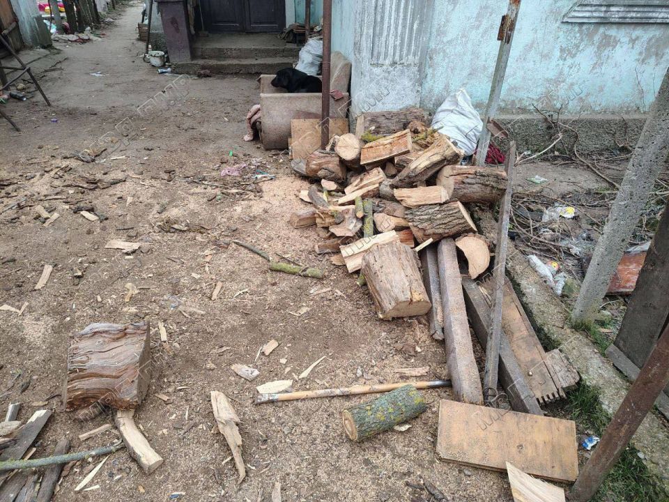 � �������� 6-������ ������� �������� ������� ������, ����� � �������� ���������