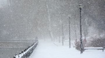 ������� ������� � ����� � �� ���� �� ����������� ������ �������� ����� �������