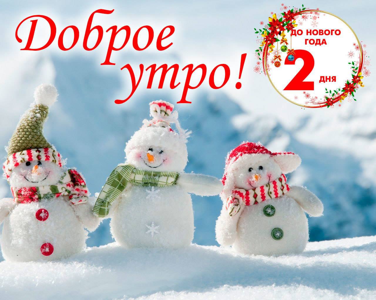 29 декабря отмечают:. • День «Ещё столько всего надо сделать!»