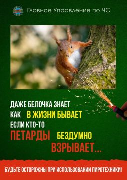 С юмором о безопасности. ГУпЧС напоминает: не запускайте пиротехнику в алкогольном опьянении – это неизбежно приведёт к БЕДЕ; не запускайте фейерверки в помещении! фейерверки и петарды нельзя бросать в огонь; не направляйте...