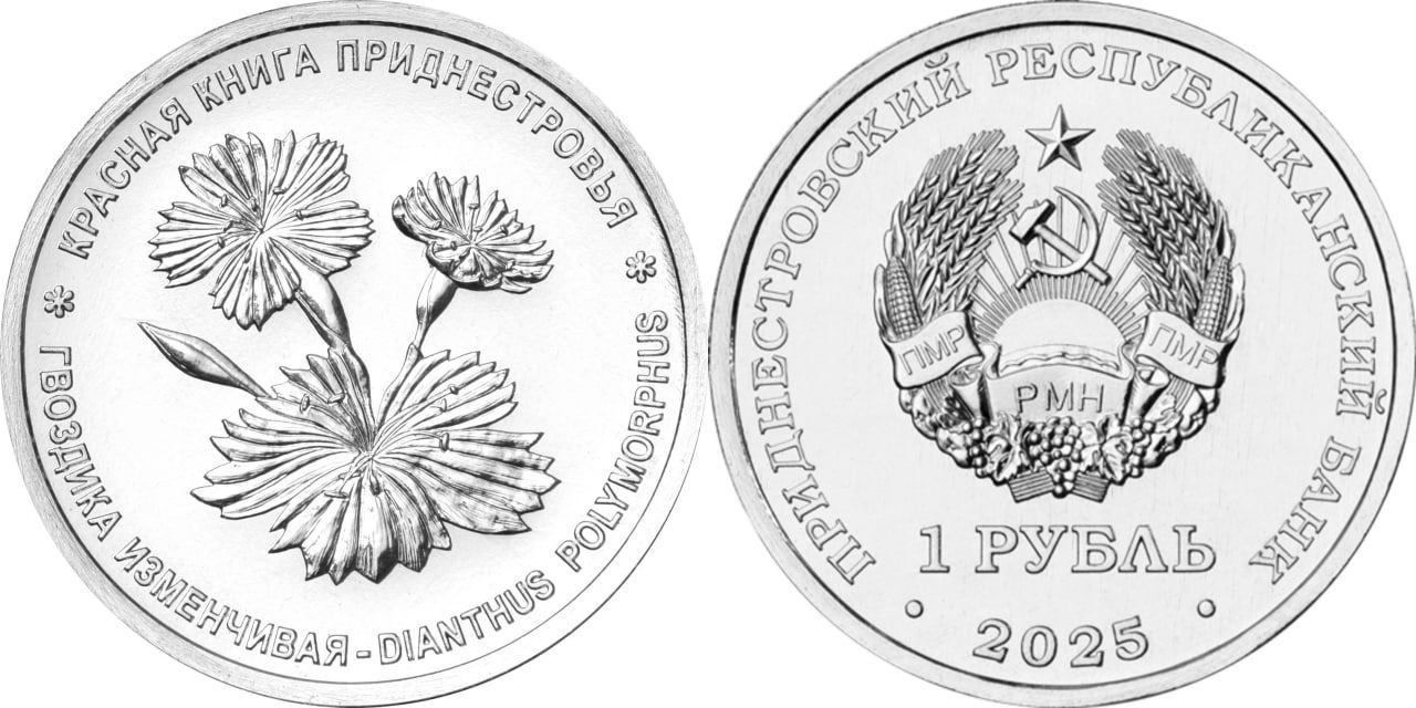 ПРБ выпустил памятную монету серии «Красная книга Приднестровья. Флора» с изображением гвоздики изменчивой