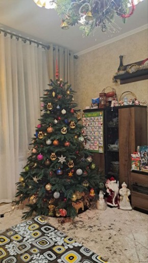 В каждом доме страны. У каждого своя лесная красавица