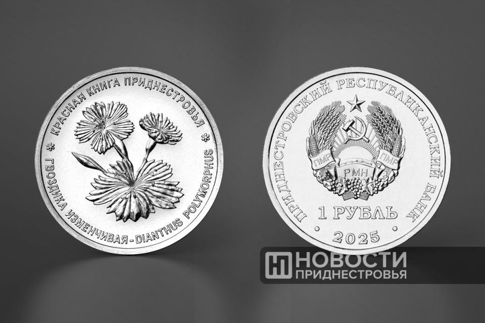 ��� �������� ����� �������� ������ �� ����� �������� ����� �������������. �����