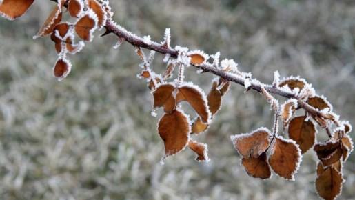 31 декабря ожидается облачная погода с прояснениями