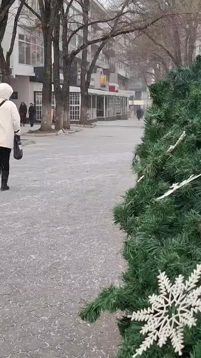 ������� ���� �����������