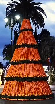 Ёлку из 1,5 тонн мандаринов можно увидеть в столице Абхазии