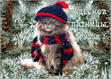 2 ������ - ����, ����� ������ ��� �� �����������, �� ������ ������, � ����������� ���������� ������ �� ������