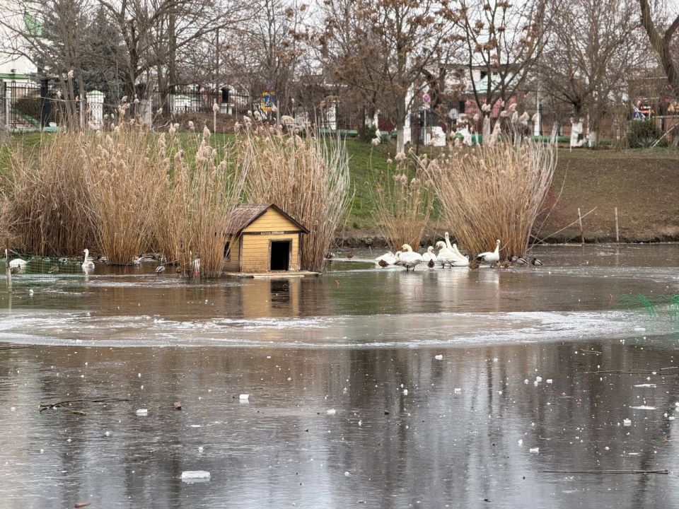 Лёд на приднестровских водоёмах слишком тонкий