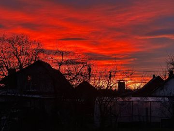 ��� ���� �������� ����� ��� ��������������