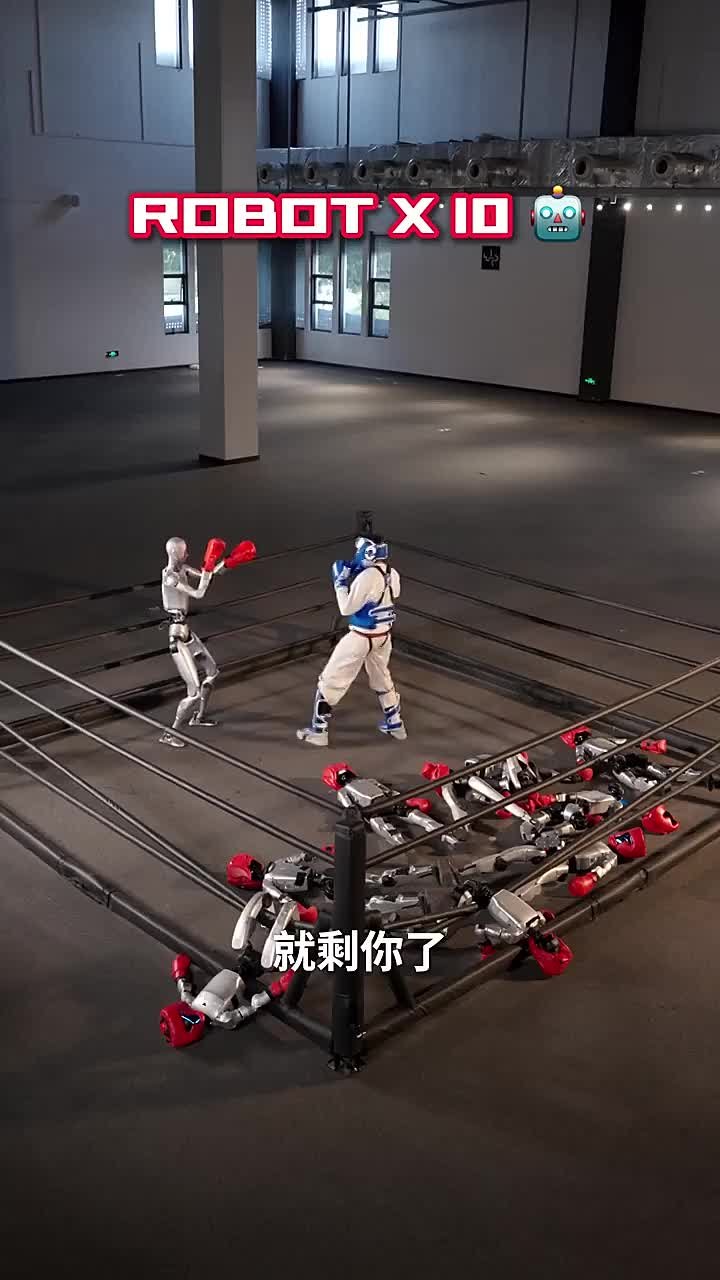 Китаец вышел на бой против десяти гуманоидных роботов и был нокаутирован