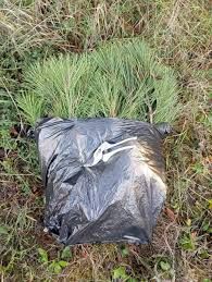 ���������� �������������� ������ ��������� ������� ����� ����� � �����������