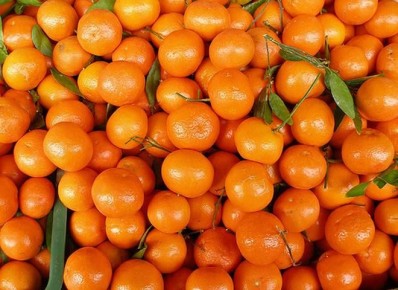 ��� ���������� ������� �����