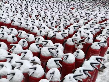 Пингвины или огнетушители?