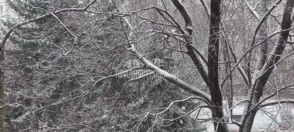 ���� � �������