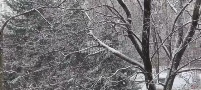 ���� � �������