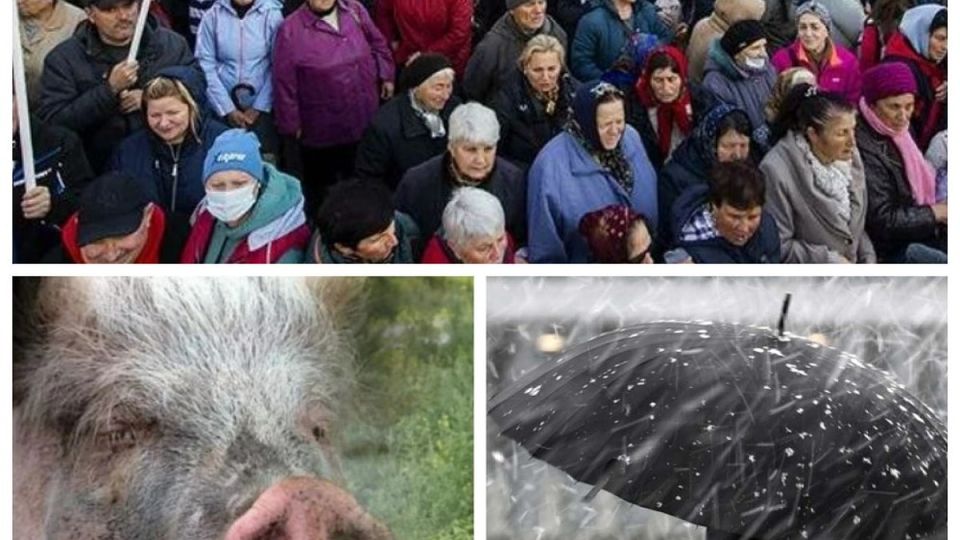 ���-5 ������� �������� � ������� 4 ������ 2026: ������ ��������� � ������� ������ �������� ����� ��������; ���������� ������, ������������� ����� �������, ����� �� ������� ����� ������; ���� � ������ � ����� - ��� ��� ���� �������