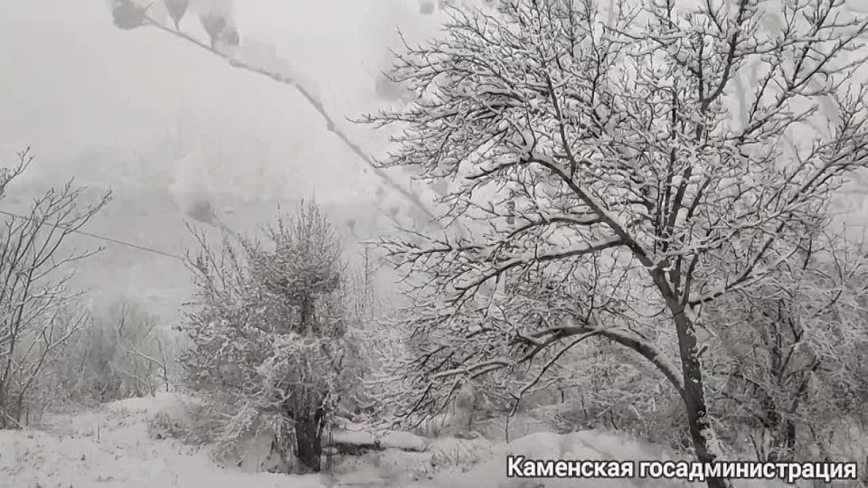 ������ ���� ������ ��� ��-���������� ������ �������