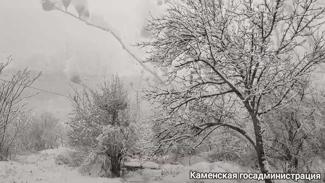 Начало года радует нас по-настоящему зимней погодой