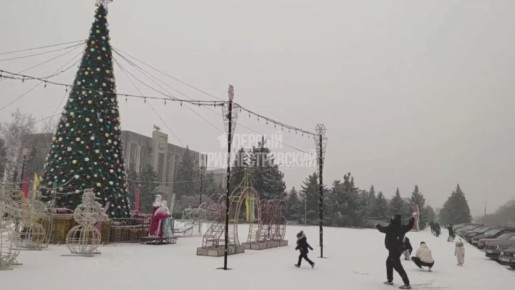 Зимняя сказка в Дубоссарах