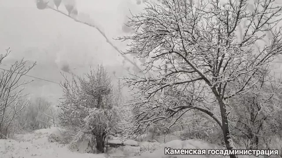 Снежная сказка в Каменке.. @camenca_org