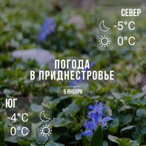 ���� � ����� 0��. ������ ���� � �����, ������� �����, ��