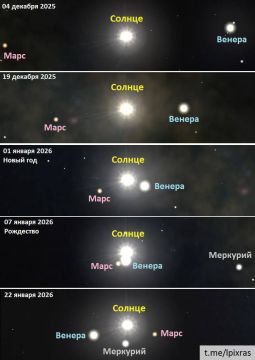 ���� � ����� ���������: ������� ������, ������ � ���� �������� �� ���� � ������������ ������