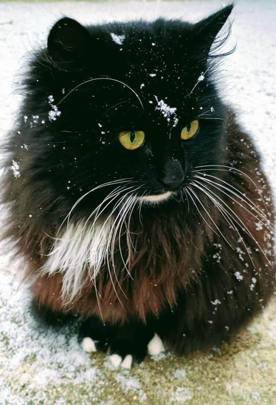 Снежное настроение в Дубоссарах