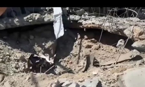 ���������. ����������� ������������ ������� ������������� ��� ���