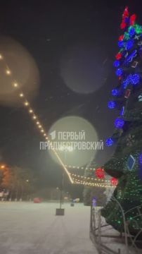 ������� ���� ������� ������� ����������